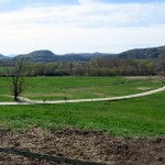 IMG_0744 IMG_0744