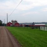 IMG_8796 IMG_8796