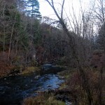 IMG_9559