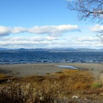 IMG_9575 IMG_9575