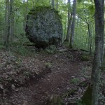 IMG_7682