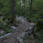 IMG_7684