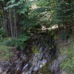 IMG_7796