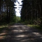IMG_7805