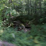 IMG_7814